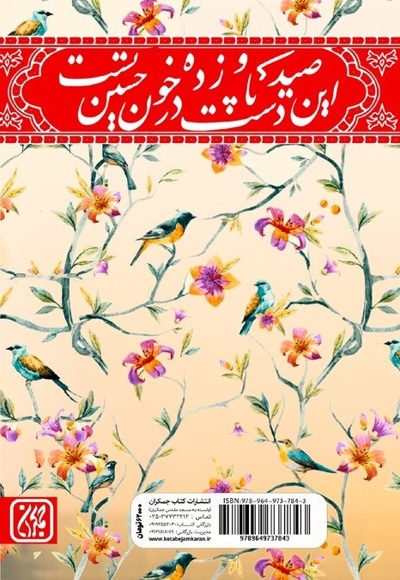 زینت دوش نبی